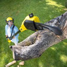 Best Tree Mulching  in Powder Springs, GA