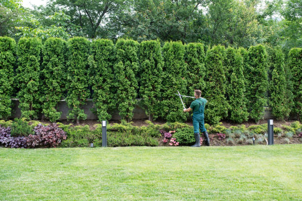Lawn Watering Services in Powder Springs, GA