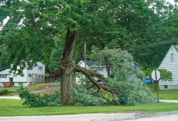 Best Lawn Drainage Solutions  in Powder Springs, GA