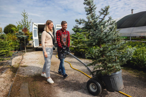 Best Lawn Watering Services  in Powder Springs, GA